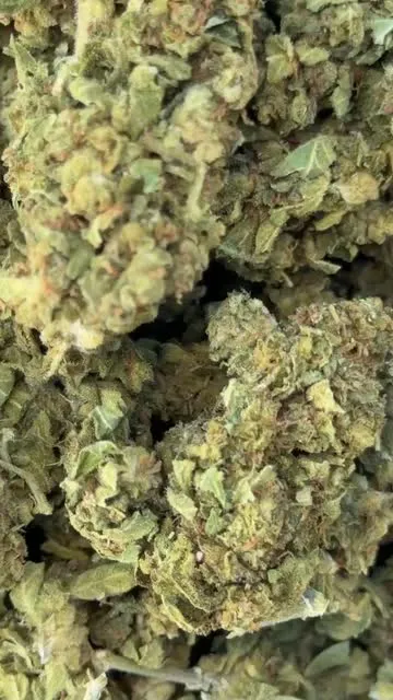 L.A Sunshine — Flower, Divine Toke Detroit, thumbnail 6